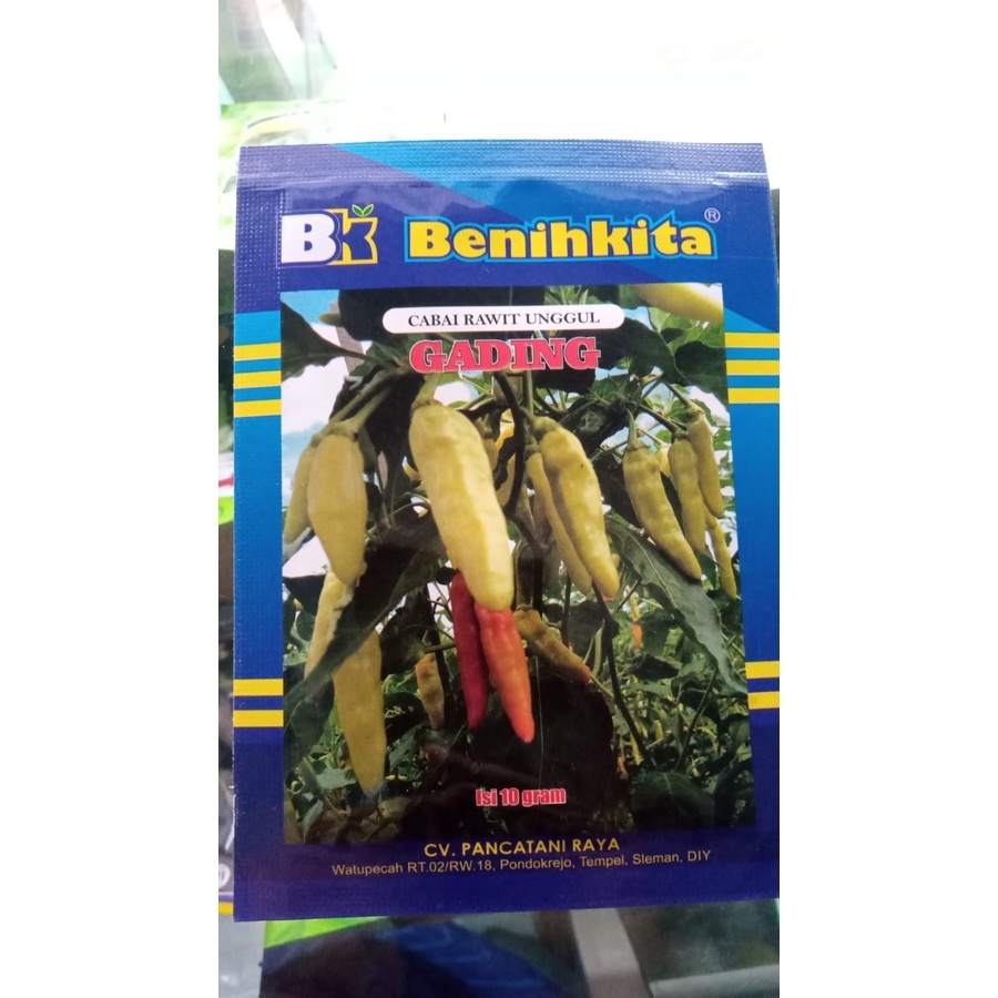 Benih Cabai Rawit Unggul Gading - Benih Kita