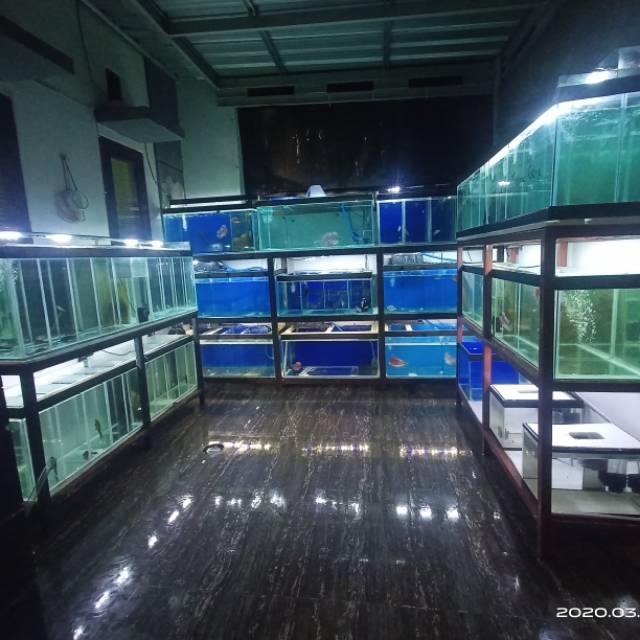 ichwanpratama75