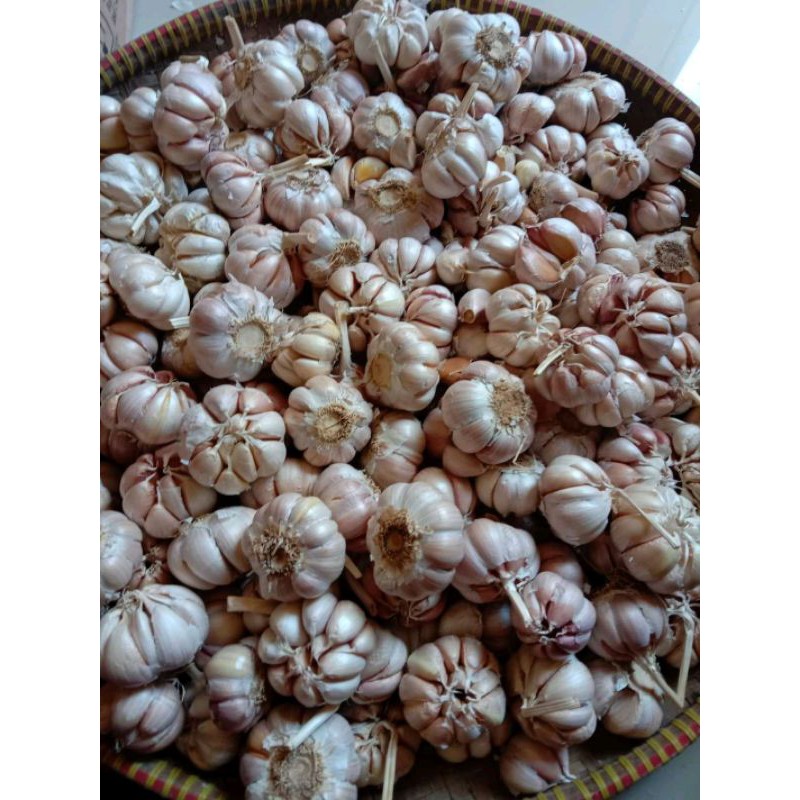

COD✓bawang putih kelanting super 1kg