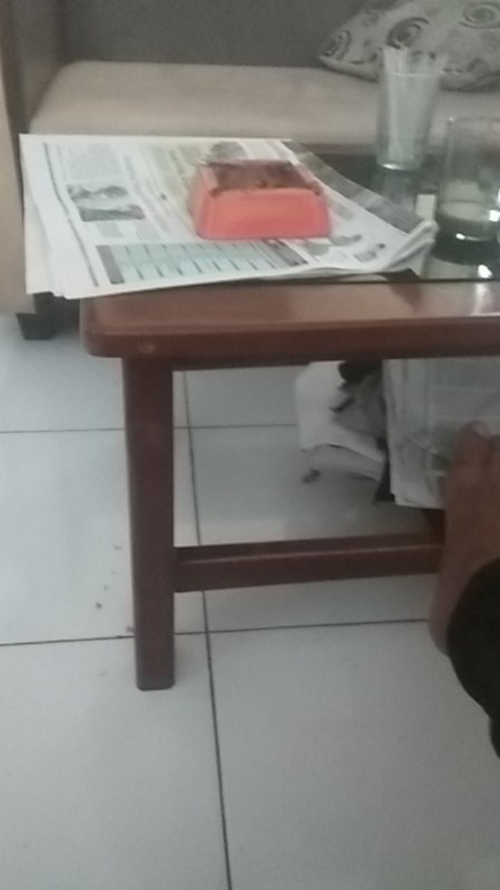 Sapu Mini Set Dengan Serok Cikrak Ukuran Kecil