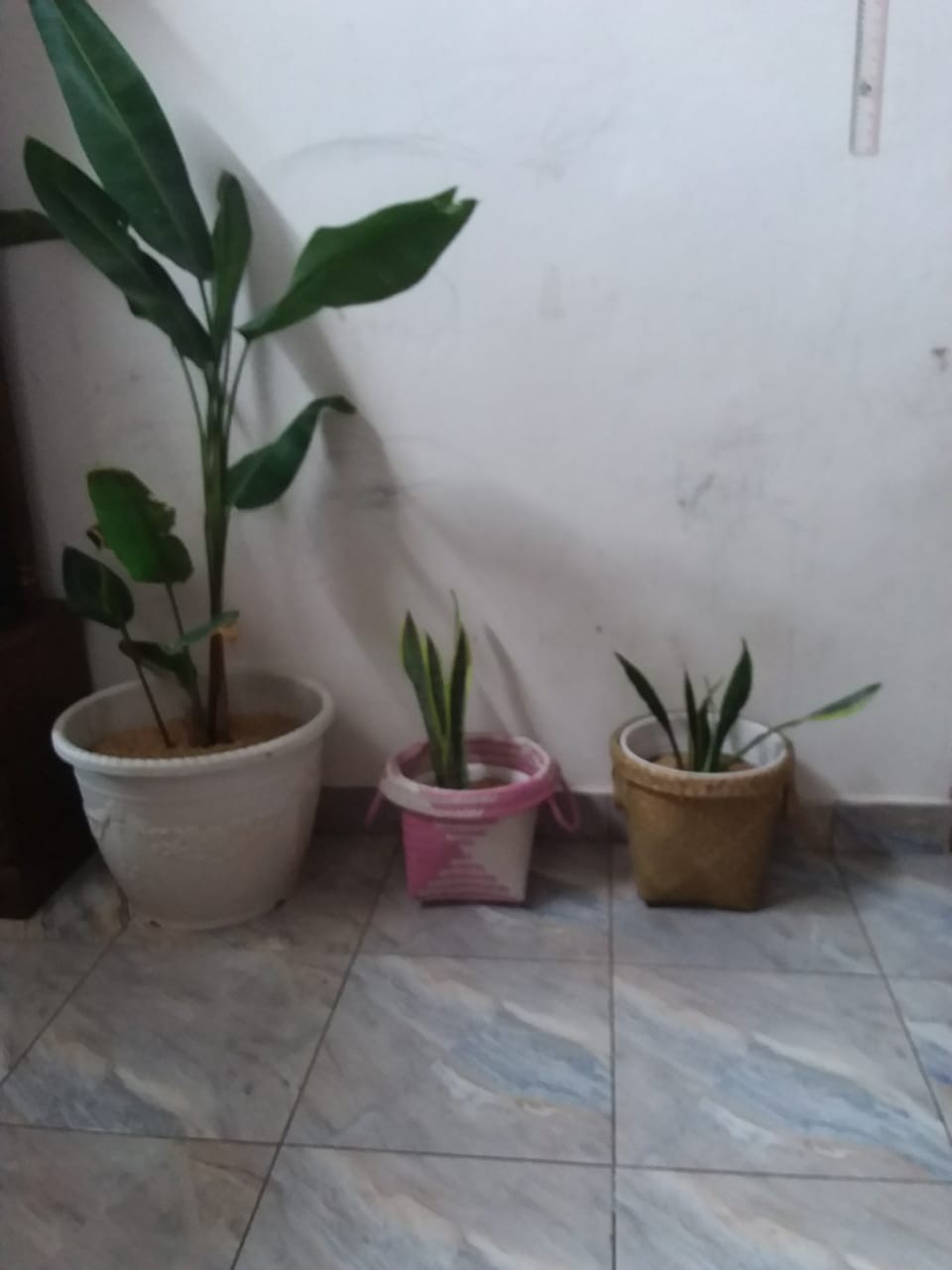 Keranjang Belanja / Tas Belanja / Keranjang Anyaman Plastik / Tas Kerajinan E05