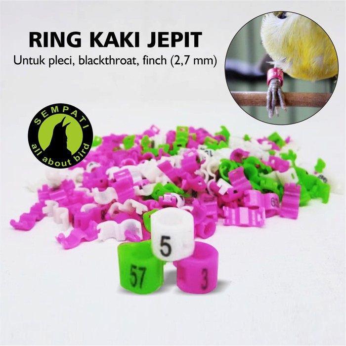 RING JEPIT PLASTIK 27 MM GELANG KAKI BURUNG BLACKTHROAT PLECI FINCH