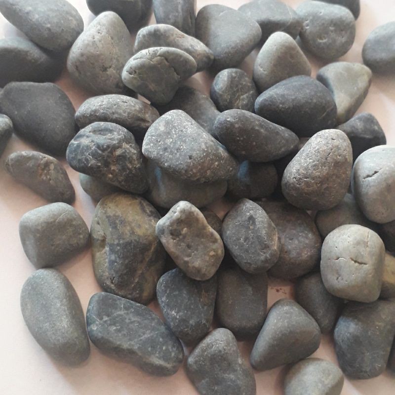 Hiasan Taman Batu Koral Kupang Hitam/Abu-abu - Batu Koral Kupang Hitam Kemasan 1 Kilogram