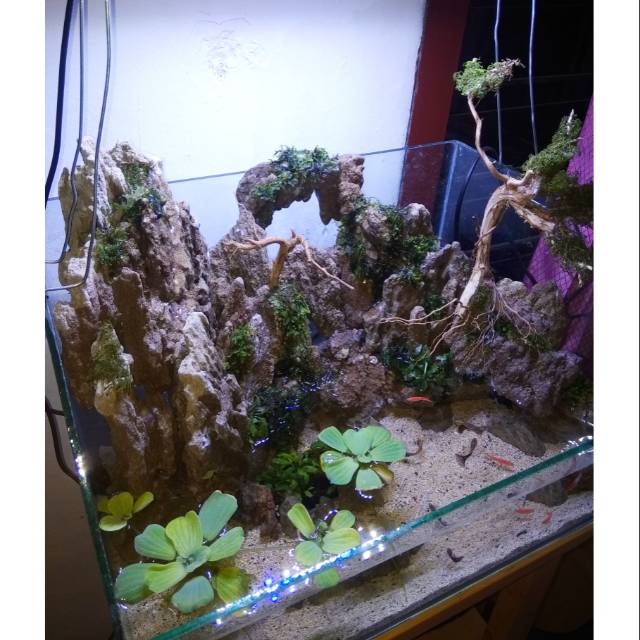 Jasa pembuatan paludarium tema waterfall & cave