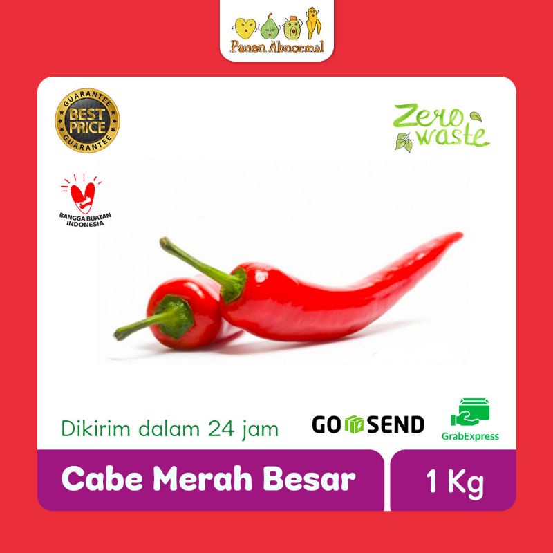 

Cabe Merah Besar