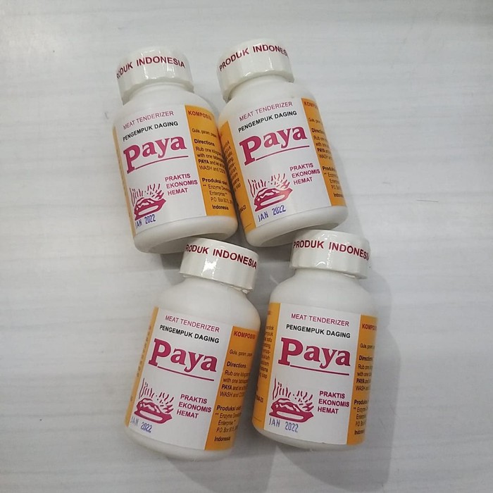 

PAYA MEAT TENDERIZER / PENGEMPUK DAGING 70G