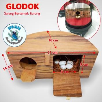 Limited Top✣ GLODOK SETENGAH LINGKARAN UNTUK LOVEBIRD - glodok untuk kandang kapsul Grosiran Murah ✺