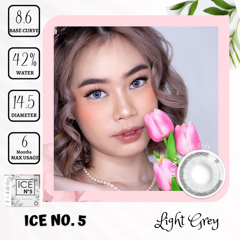 SOFTLENS X2 - ICE  NO. 5 MINUS ( - 0.50 S.D - 2.75 )