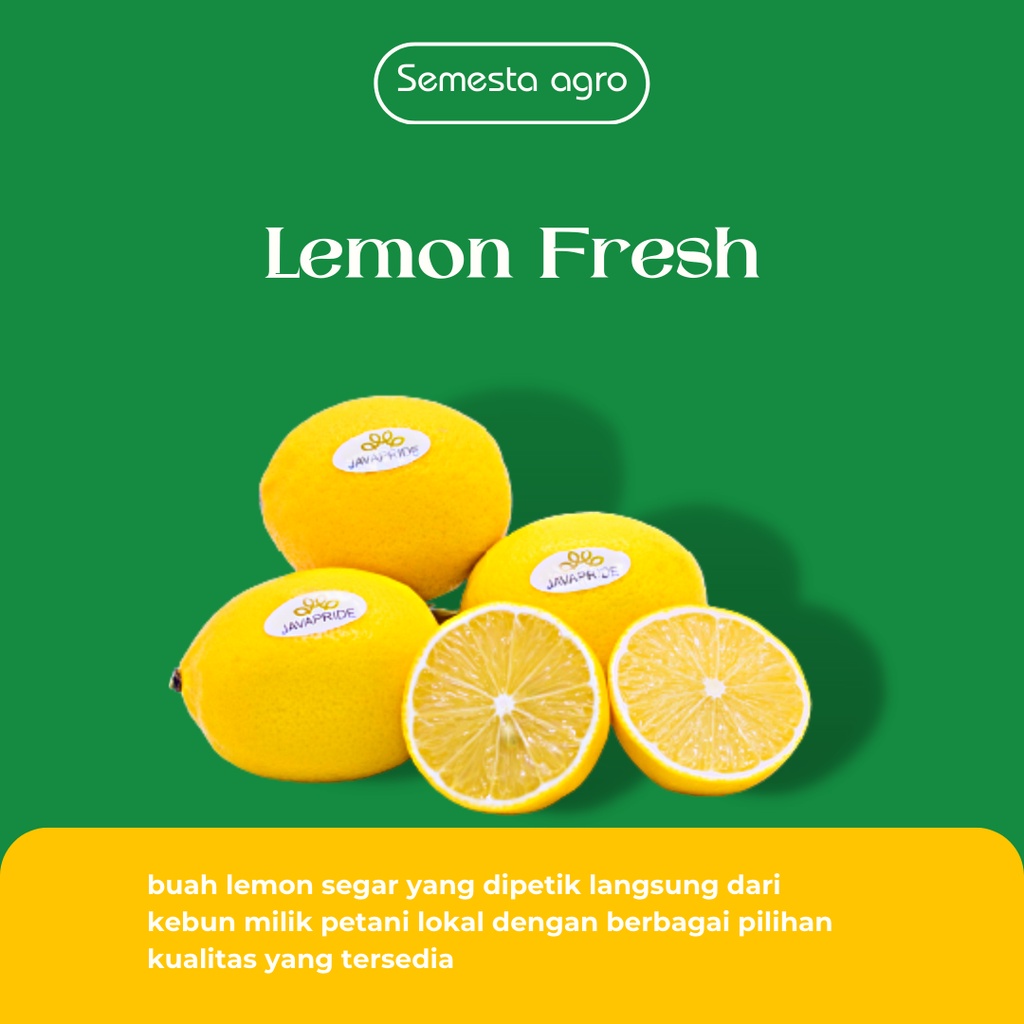 

LEMON LOKAL SEGAR (1 Kg) | Fresh dan Alami dari Kebun Sendiri | Buah Segar | Fresh Lemon