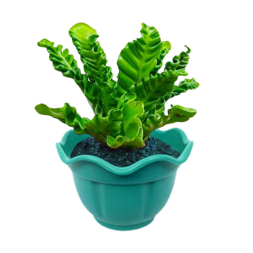 Pot Bunga Tanaman Hias Bata  Random Color Isi 12 pcs
