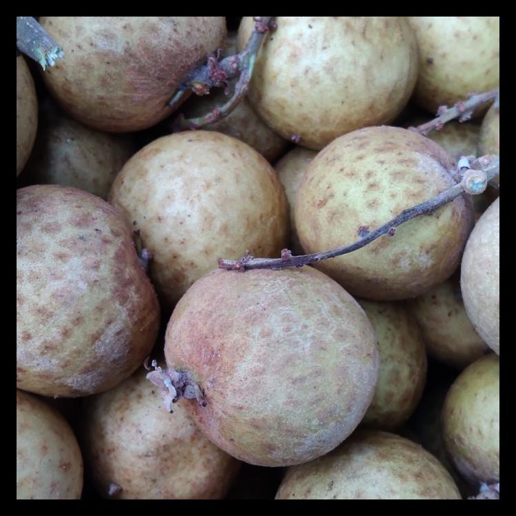 

New Produk Kelengkeng Bangkok 1Kg