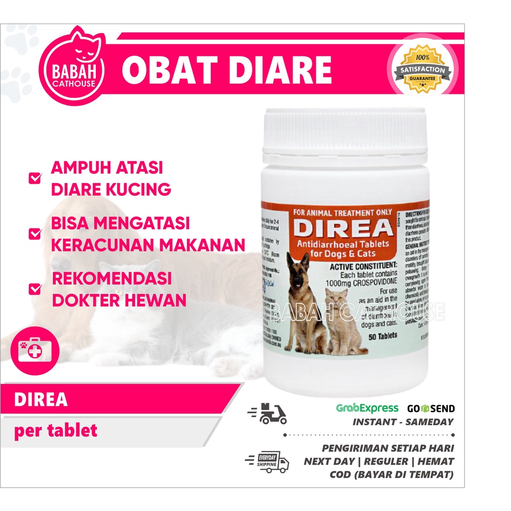 DIREA Obat Diare Kucing Anjing Untuk Sakit Keracunan Mencret Anak Anti Kitten Murah Pencernaan Racun