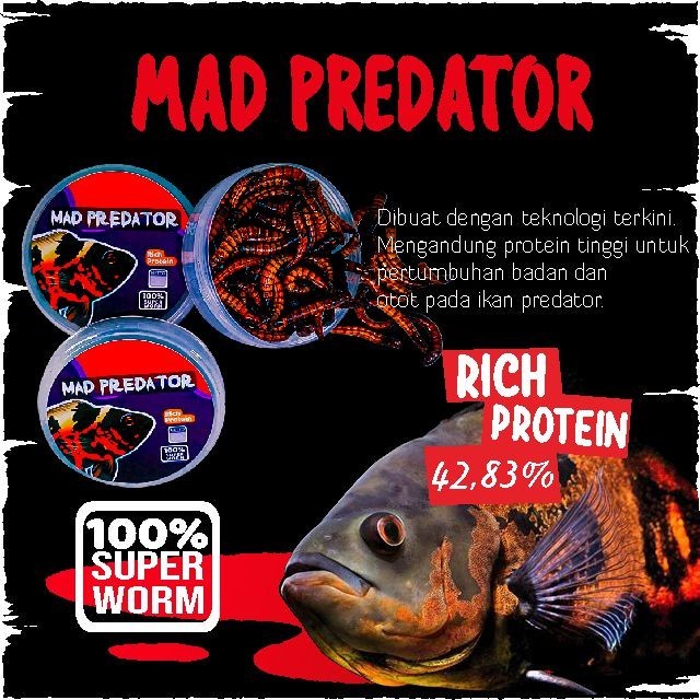 MAD PREDATOR MINI SIZE - Pakan ULAT ULET JERMAN Kering Makanan Ikan