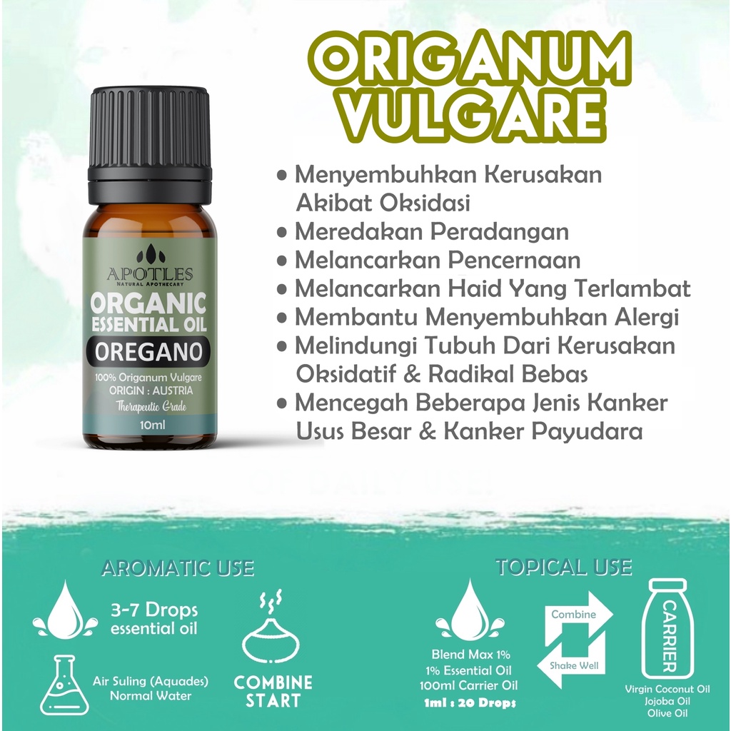 Oregano Essential Oil - Minyak Aromaterapi Oregano Essential Oil Murni 10ml