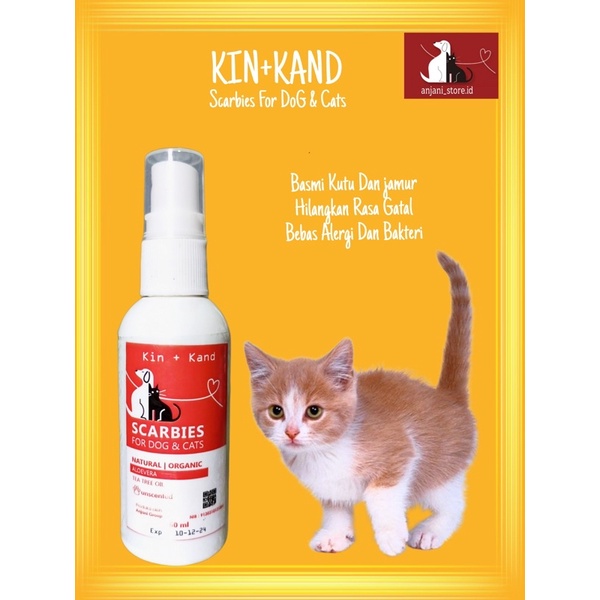 OBAT JAMUR OBAT INFEKSI KULIT KUCING ANTI KUTU  SCABIES DEMODEX JAMUR KUTU PARASIT CACING HATI OBAT JAMUR ANJING PAKET LENGKAP!