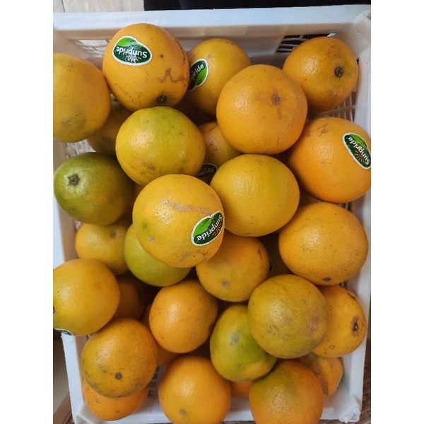 

Jeruk Baby Sunpride Manis full 500gram