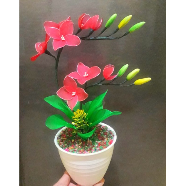 BUNGA HIAS STOKING/BUNGA ANGGREK