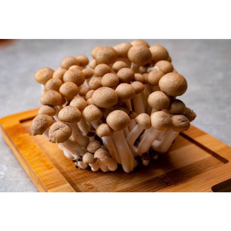 

BSM | TERMURAH Jamur Shimeji Coklat Fresh per pack 100gr / Jamur Shimeji Coklat | Sayur online