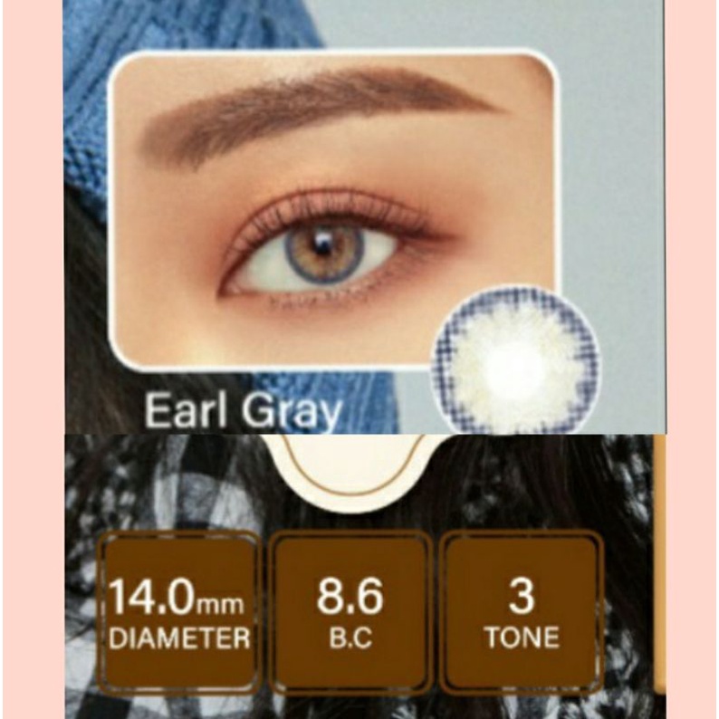 SOFTLENS PUDDING EARL GRAY/ABU NORMAL MINUS s.d -10.00 Dia.14mm Made in KOREA