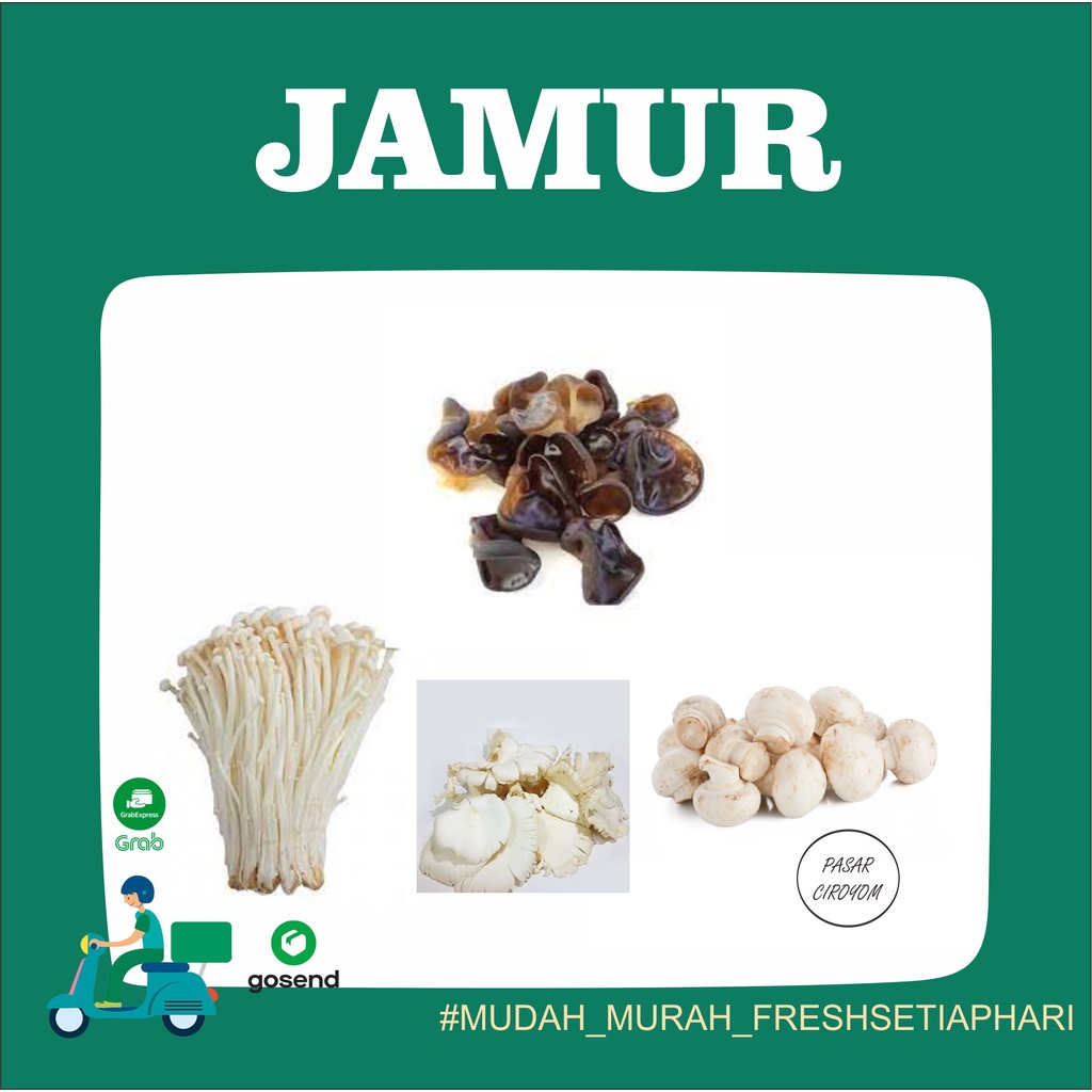 

JAMUR ENOKI / JAMUR TIRAM / JAMUR KANCING CAMPIGNON / JAMUR KANCING LEMBER FRESH MURAH BANDUNG 250g