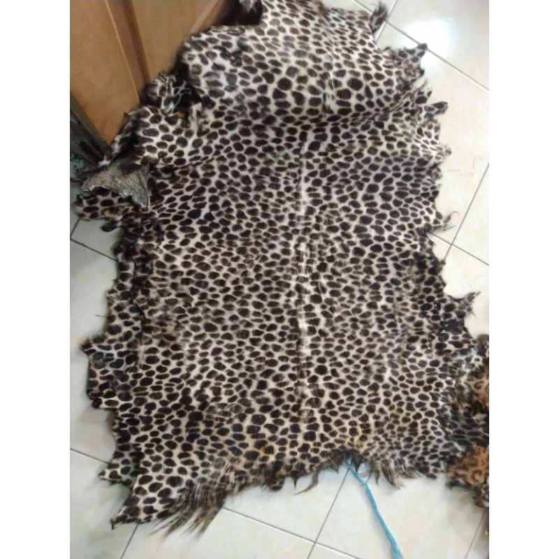 kulit kambing bulu motif macan tutul putih