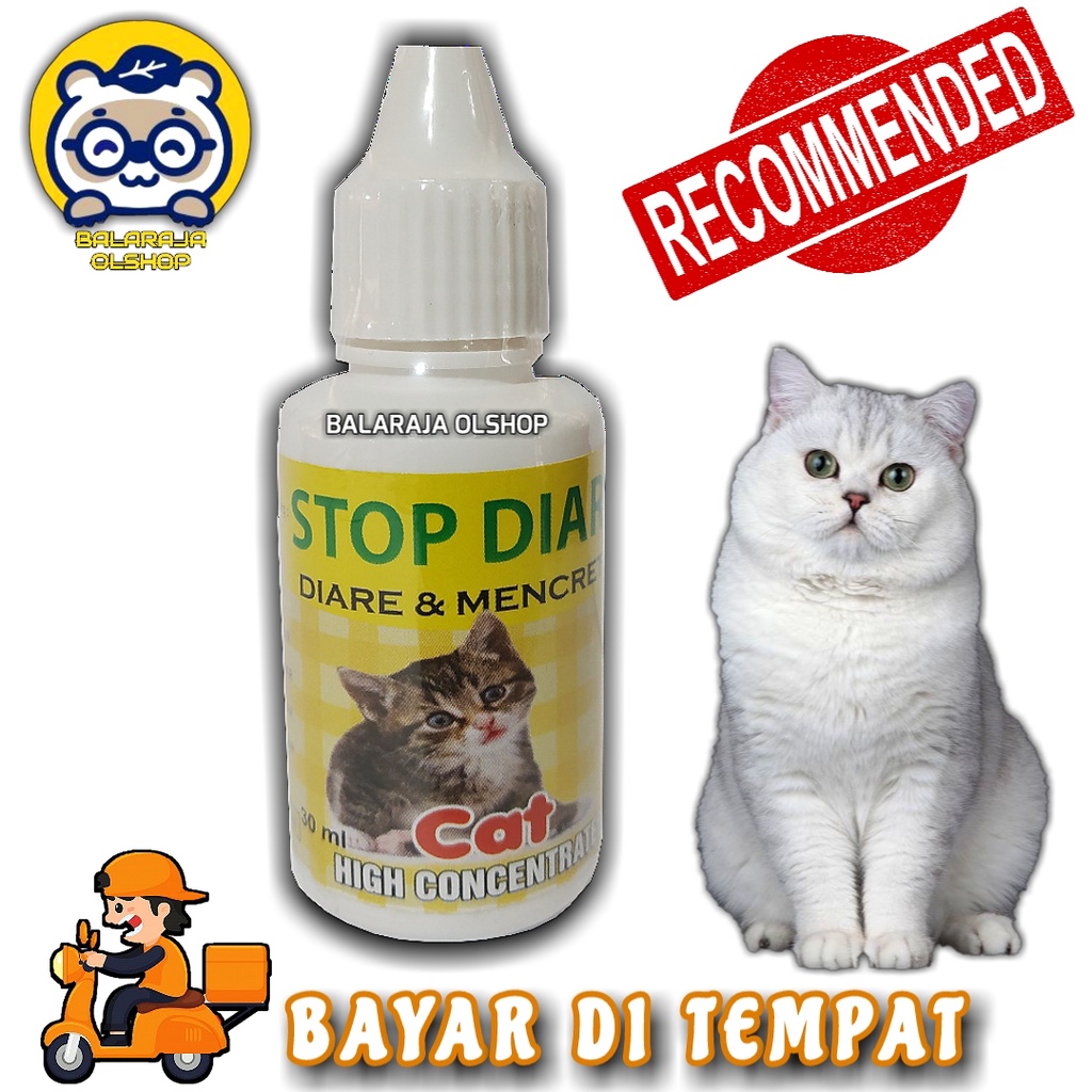 OBAT KUCING MENCRET DIARE SAKIT PENCERNAAN UNTUK KUCING DEWASA DAN KITTEN - STOP DIAR