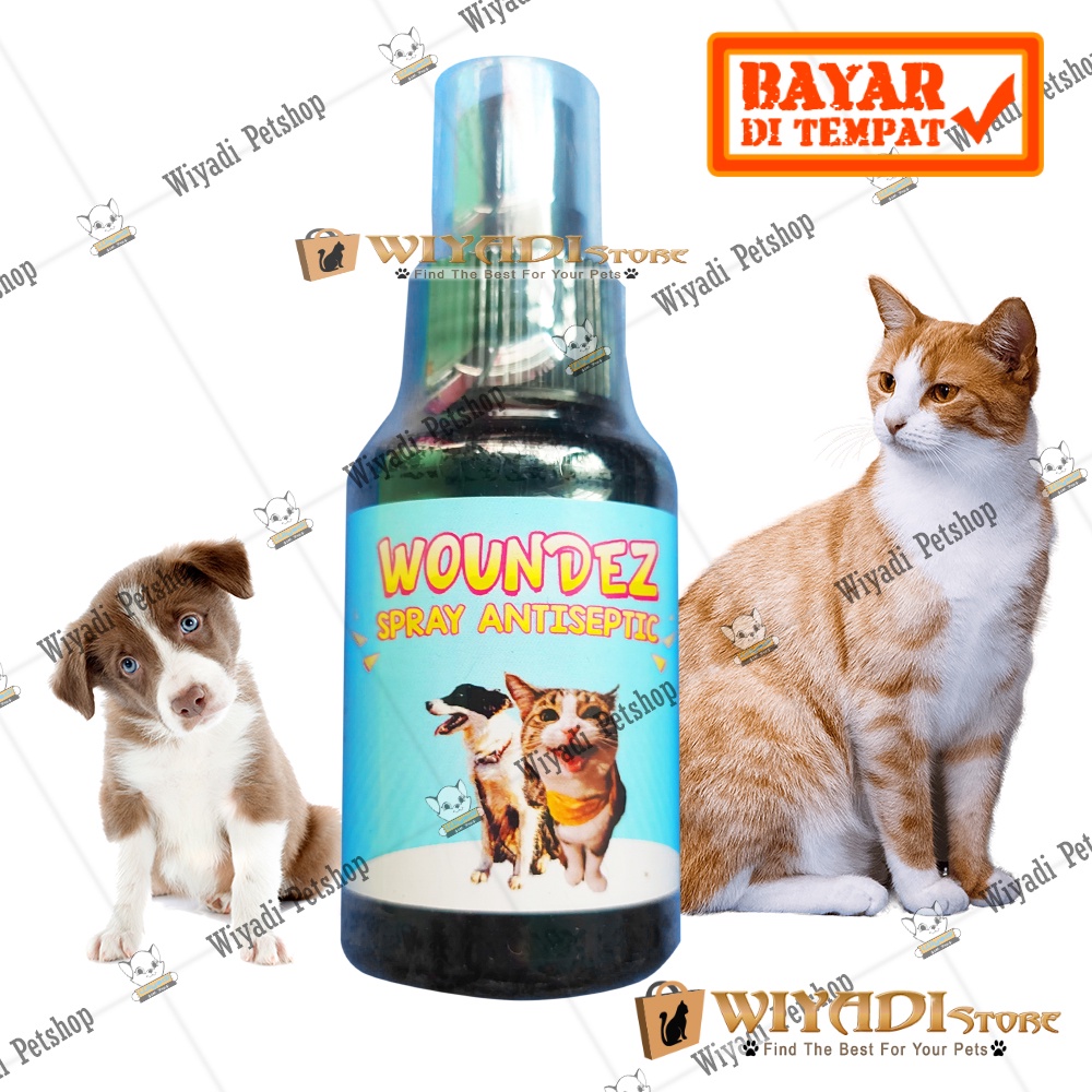 Woundez 60 ml spray antiseptic luka kucing anjing anti bakteri