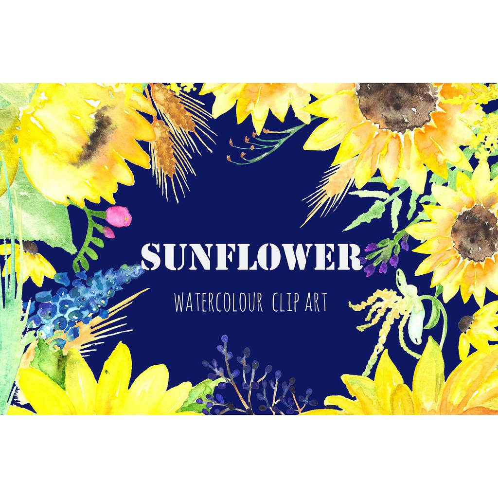 Sunflowers Gold Water Color Clipart - JPEG Ultra HD