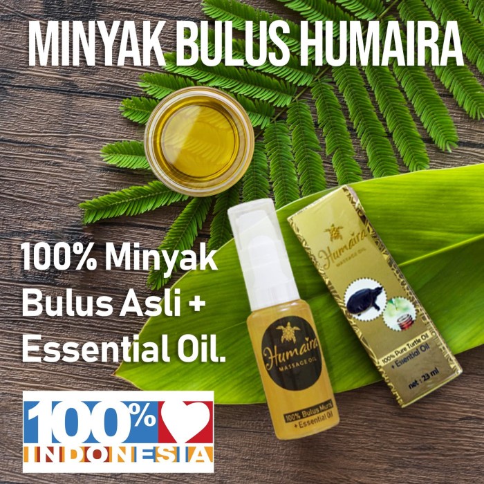 Terlaris MINYAK BULUS HUMAIRA | ASLI & Wangi / Tidak Bau