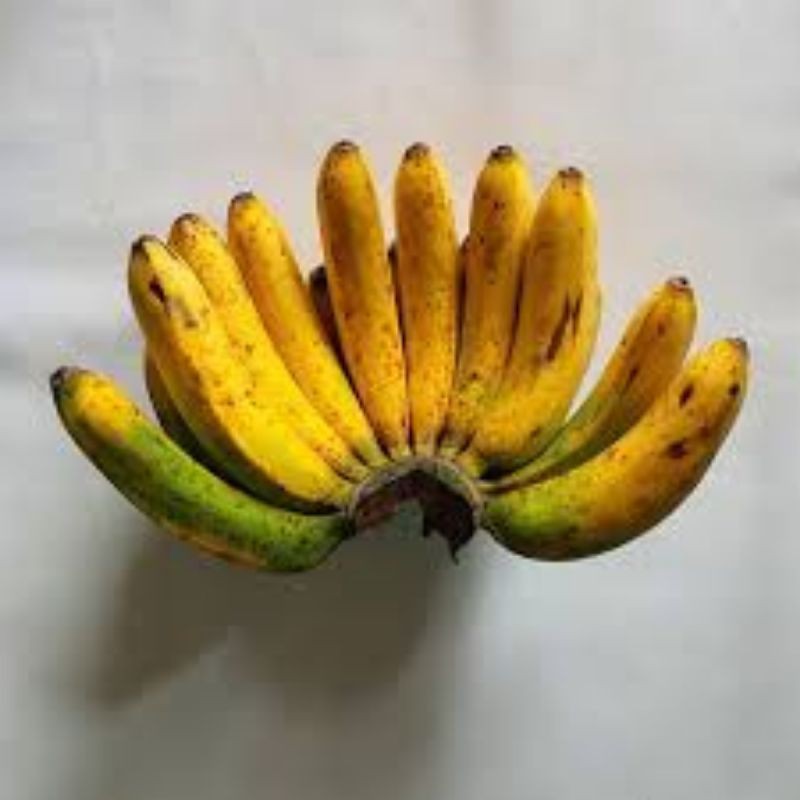 

Pisang Barangan Medan per Sisir / Berat 1,1kg s.d. 1,6kg