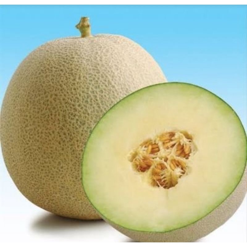

MeLon Manis/Perbiji(Satuan)
