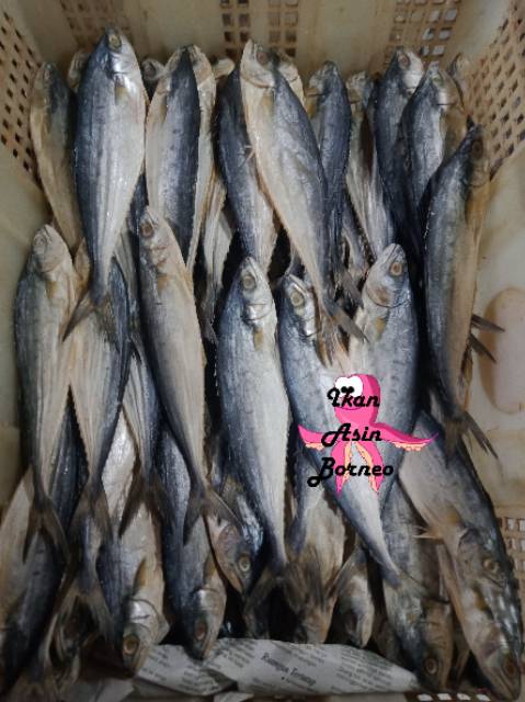 Ikan Asin Kecil Talang Telang Papan Sampan Tiau Janphu 500 Gram