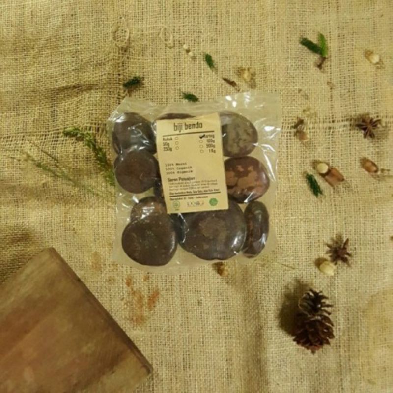 

BIJI BENDO 1 KG - Artocarpus elasticus - MURNI - JSR - REMPAH Organik Herbal Sehat Alami