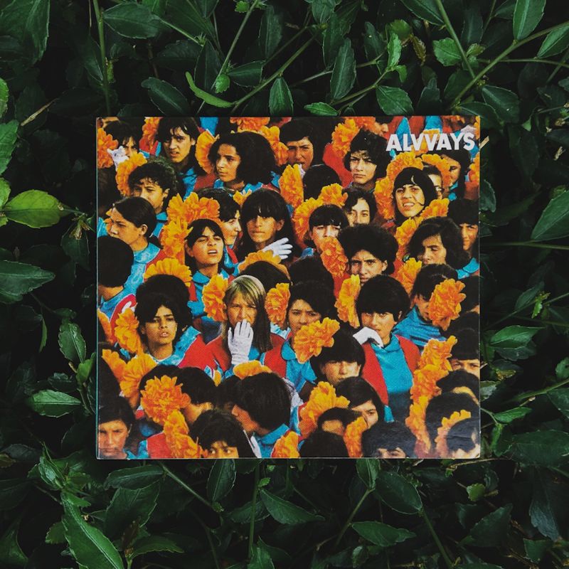 CD Alvvays - Self Titled
