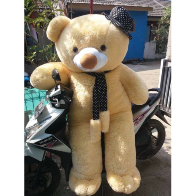 Boneka Teddy Bear Lucu Besar Warna Cream