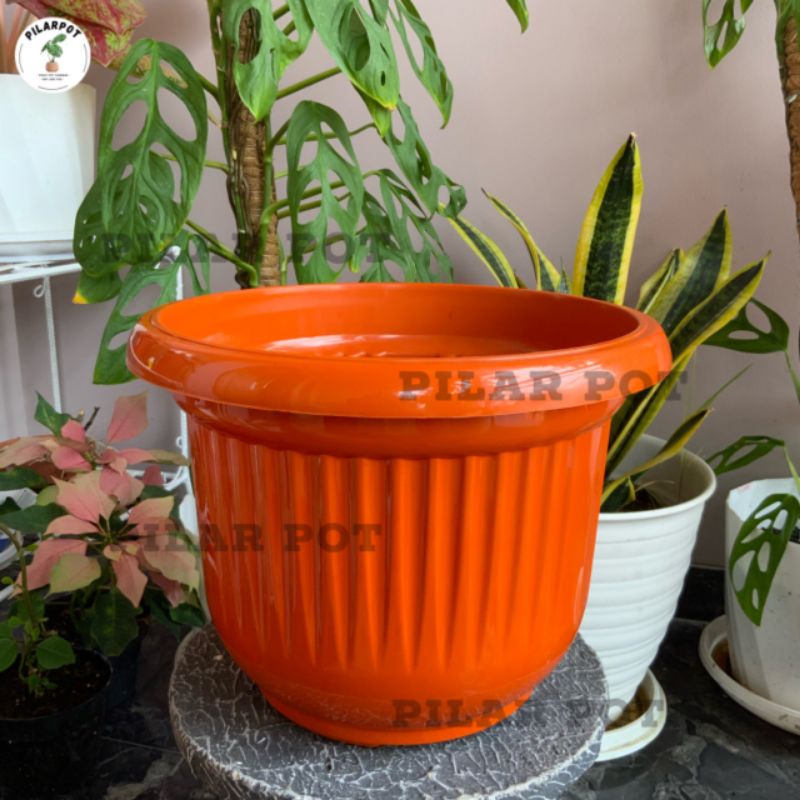 pot bunga tanaman plastik GL Flamboyan 35 kuping - FLAMBOYAN 35 MERAH BATA