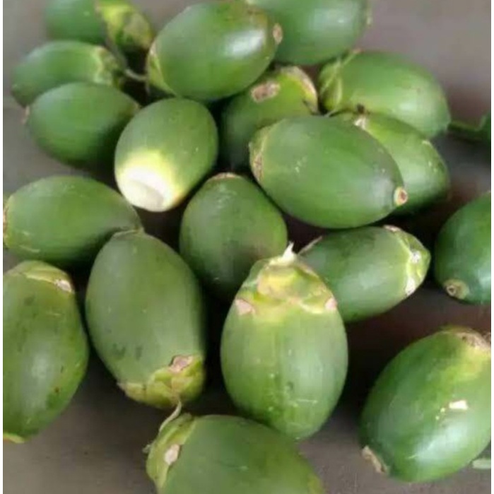 

buah pinang muda satuan