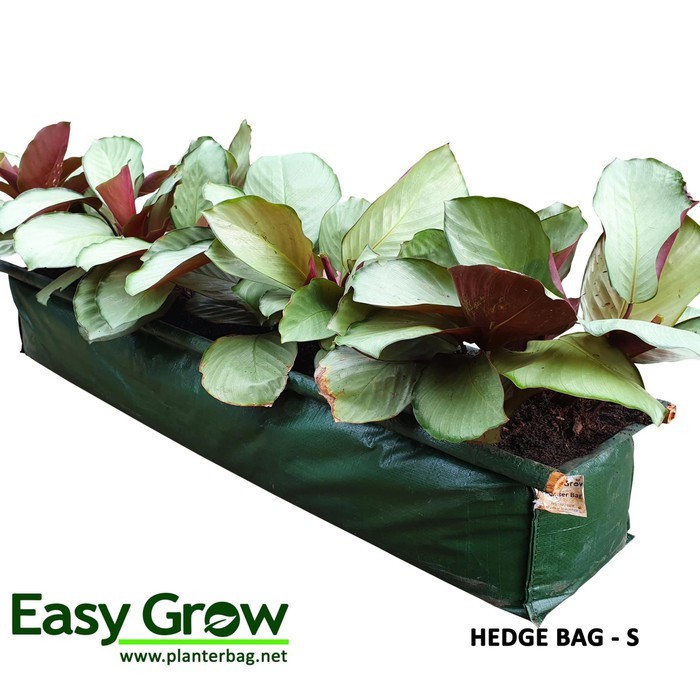 Hedge Planterbag Medium kantong Pot polybag bibit Tanaman pagar bunga sayuran buah planter bag