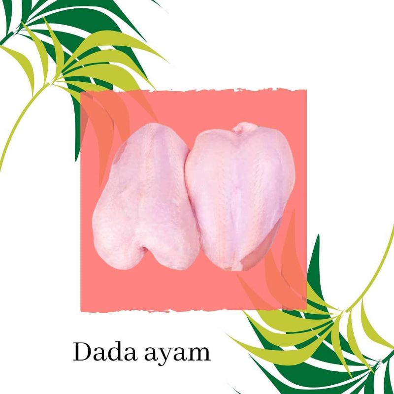 

dada ayam