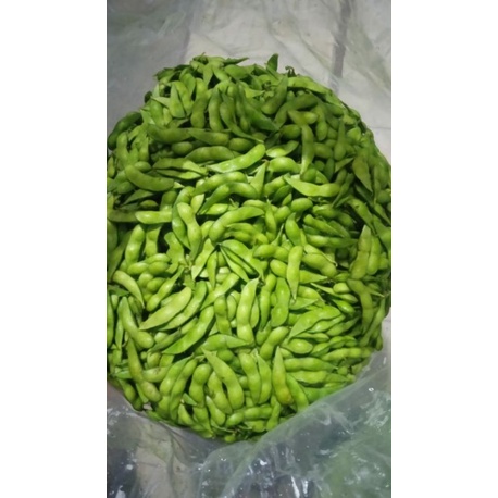 

edamame fresh