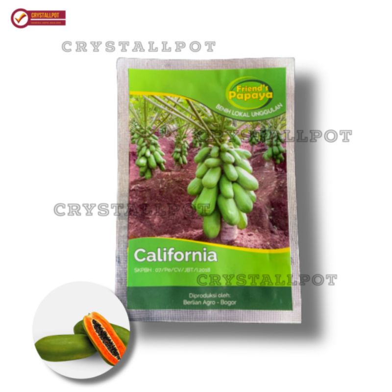 benih bibit pepaya California friend's papaya - CALIFORNIA FRIEND'S