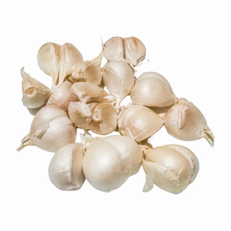 

Bawang Putih Kating 250gr