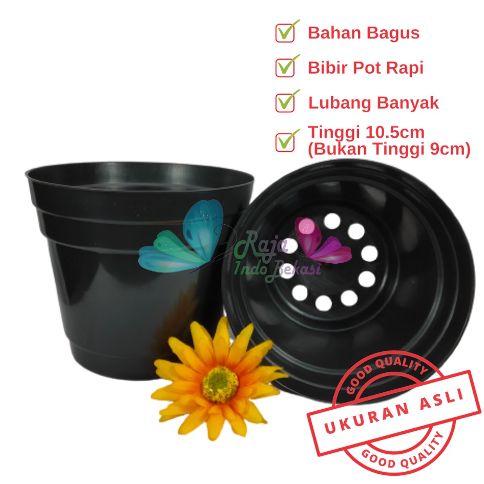 Pot 12 Cm Hitam Polos - Pot 12 Hitam Kecil Mini Minimalis Plastik Kaktus Sukulen Mini Murah Pot Bibit Pembibitan