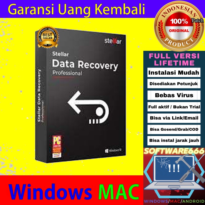 Software Data Recovery: Stellar Data Recovery Professional 9 [WIN]