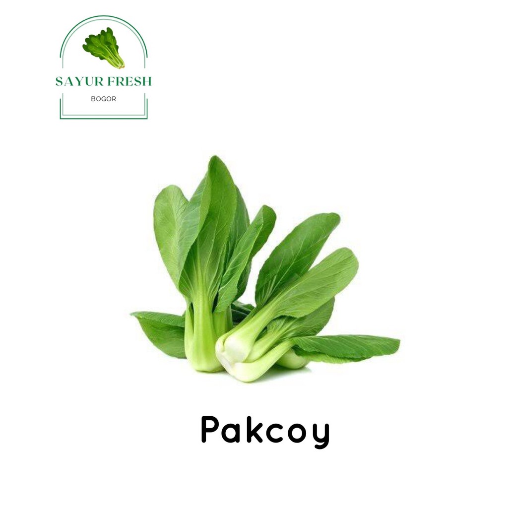 Jual Pakcoy Segar Bogor Sayur Bogor Segar 250 Gr Shopee Indonesia