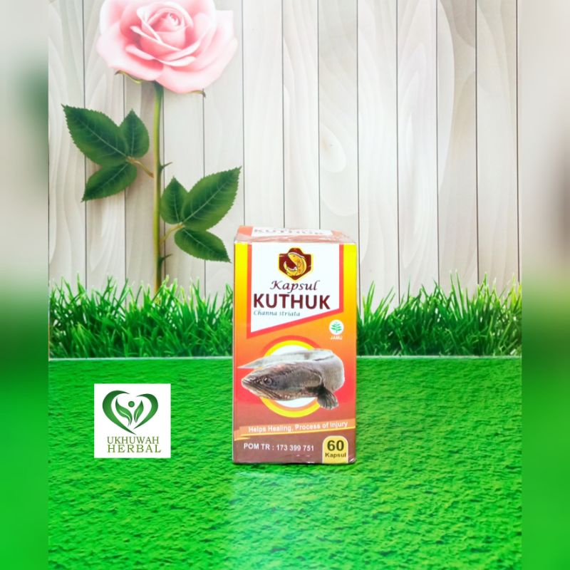 

Kapsul Kuthuk 60kpsl