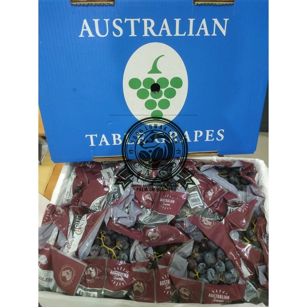 

Anggur Hitam Adora Seedless Australia 1 Dus (9 KG) Fresh Import