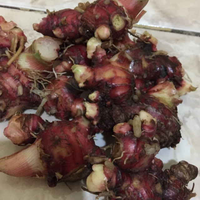 

Jaahe merah 1kg