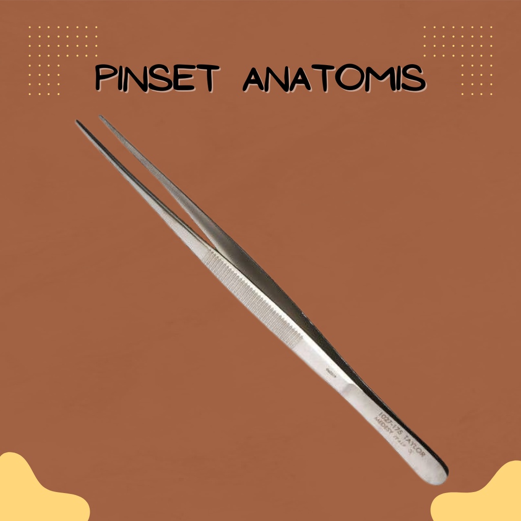 Pinset anatomis