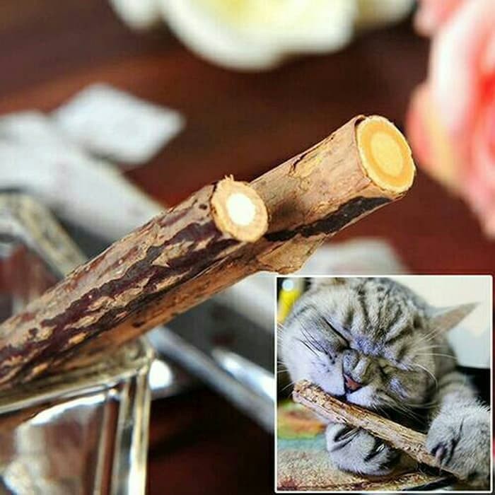 Catnip Kucing Stick Snack Mainan Kucing Natural Matabi Cat Toys Catnip FEFARM